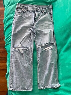 American Eagle Light Wash Distressed Straight Leg Jeans Size 10 Short